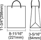 BSP-006605