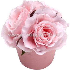 PL3H0W-00S333-02